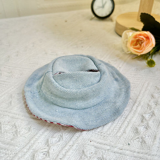 Spring and Summer Blue Cowboy Hat